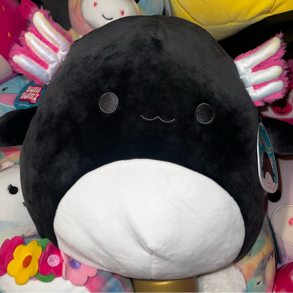 Jaelyn the Axolotl